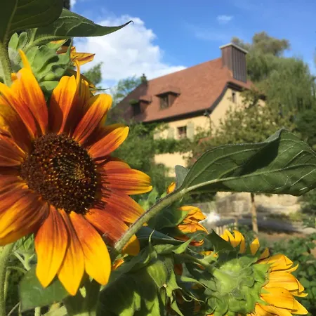 Bel Esprit - D'hotes Bed & Breakfast